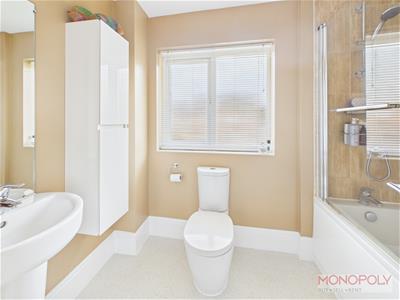 Picture 15